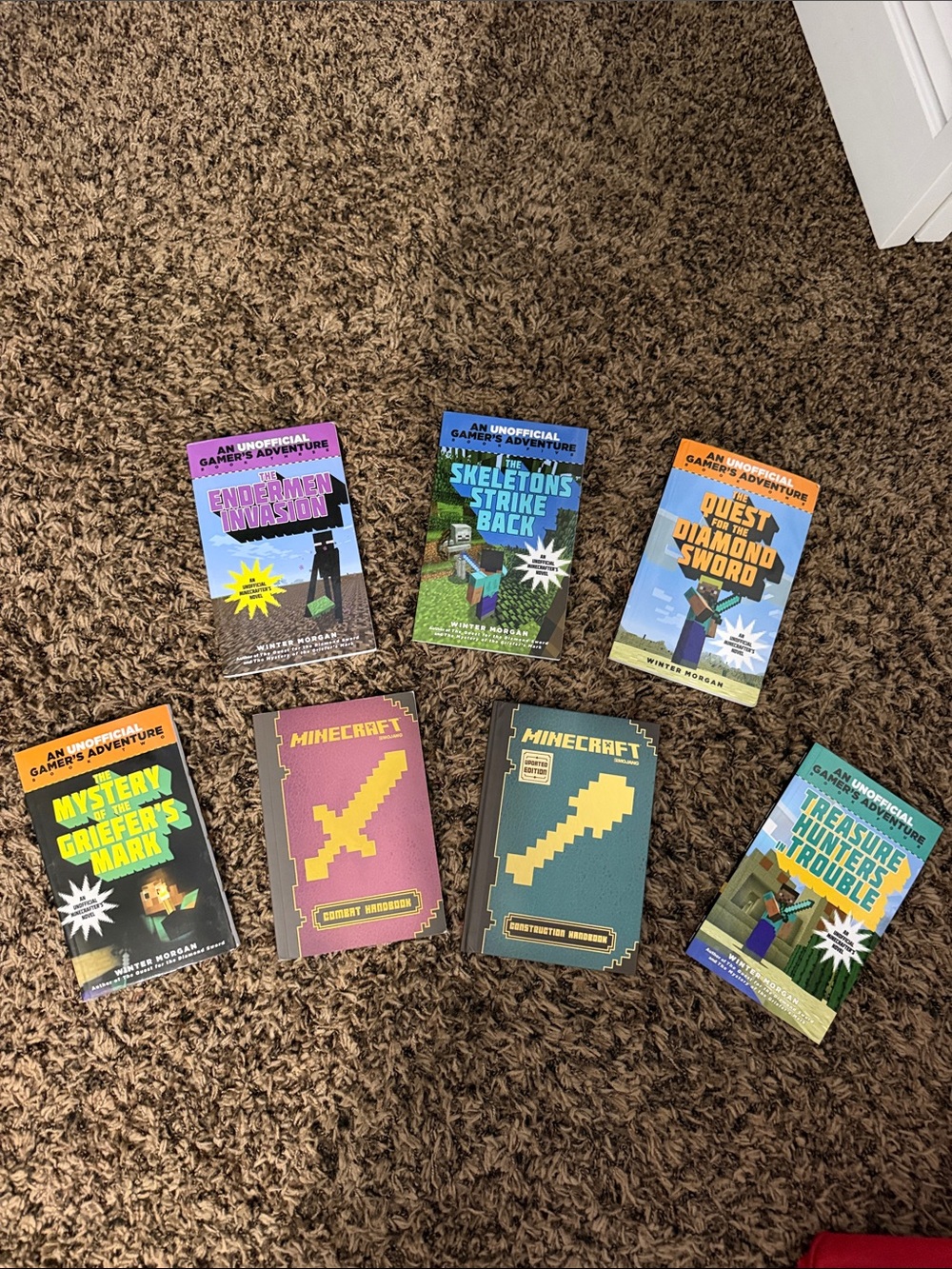 Minecraft Kids Book Set – Assorted Color Covers
